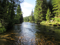 foto/diskuze/z_lovu/2016/th-img120138.jpg