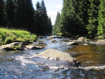 foto/diskuze/z_lovu/2016/th-img120142.jpg