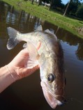 foto/diskuze/z_lovu/2016/th-img120289.jpg