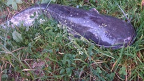 foto/diskuze/z_lovu/2016/th-img120327.jpg