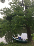 foto/diskuze/z_lovu/2016/th-img120561.jpg