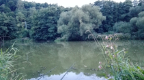 foto/diskuze/z_lovu/2016/th-img120567.jpg