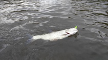 foto/diskuze/z_lovu/2016/th-img121041.jpg