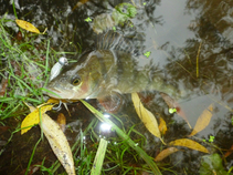 foto/diskuze/z_lovu/2016/th-img121128.jpg