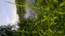 foto/diskuze/z_lovu/2016/th-img121532.jpg