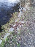 foto/diskuze/z_lovu/2016/th-img121569.jpg