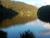 foto/diskuze/z_lovu/2016/th-img121625.jpg