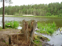 foto/diskuze/z_lovu/2016/th-img121674.jpg