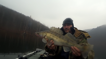 foto/diskuze/z_lovu/2016/th-img121681.png