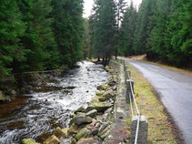 foto/diskuze/z_lovu/2016/th-img121851.jpg