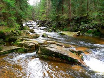 foto/diskuze/z_lovu/2016/th-img121852.jpg
