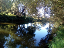 foto/diskuze/z_lovu/2016/th-img121911.jpg