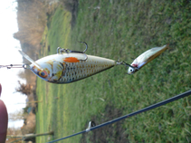 foto/diskuze/z_lovu/2016/th-img121980.jpg