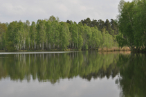foto/diskuze/z_lovu/2016/th-img121983.jpg