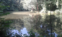 foto/diskuze/z_lovu/2016/th-img122108.jpg