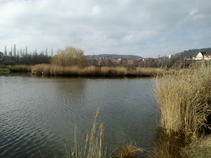foto/diskuze/z_lovu/2017/th-img122986.jpg