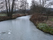 foto/diskuze/z_lovu/2018/th-img127990.jpg