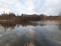 foto/diskuze/z_lovu/2018/th-img128499.jpg