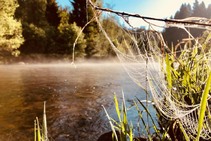 foto/diskuze/z_lovu/2018/th-img128701.jpg