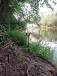foto/diskuze/z_lovu/2025/th-img134824.jpg