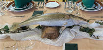 foto/diskuze/zaciname/2012/th-img88735.jpg