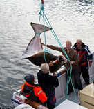 foto/diskuze/zahranici/2011/th-img43085.jpg