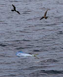 foto/diskuze/zahranici/2012/th-img46964.jpg