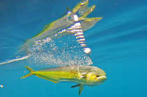 foto/diskuze/zahranici/2012/th-img47113.jpg