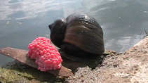 foto/diskuze/zahranici/2012/th-img51072.jpg