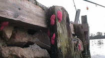 foto/diskuze/zahranici/2012/th-img51073.jpg