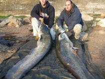 foto/diskuze/zahranici/2012/th-img51340.jpg