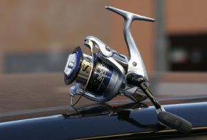 Shimano Technium 3000 SFB