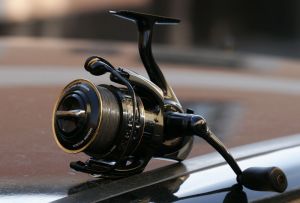 Daiwa Morethan Branzino 3000