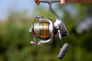 Shimano Stradic 2500 FI – US verze