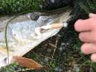 foto/forum/2006/th-img1005.jpg