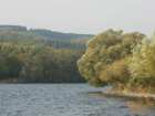 foto/forum/2006/th-img1139.jpg