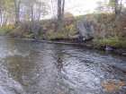 foto/forum/2006/th-img1146.jpg