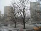 foto/forum/2006/th-img132.jpg