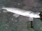 foto/forum/2006/th-img1321.jpg