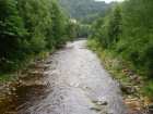 foto/forum/2006/th-img1336.jpg