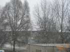 foto/forum/2006/th-img134.jpg