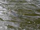 foto/forum/2006/th-img137.jpg
