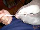 foto/forum/2006/th-img140.jpg