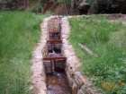 foto/forum/2006/th-img1426.jpg