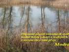 foto/forum/2006/th-img1443.jpg