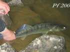 foto/forum/2006/th-img1460.jpg