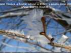 foto/forum/2006/th-img1473.jpg