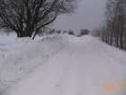 foto/forum/2006/th-img155.jpg
