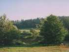 foto/forum/2006/th-img158.jpg