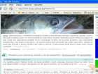 foto/forum/2006/th-img172.jpg